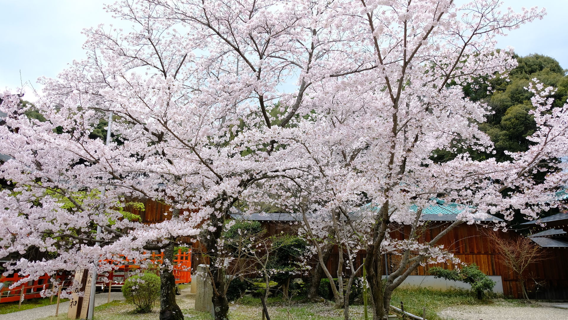日本の風景オープンデータ